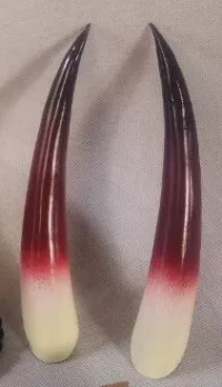 Shuten Douji Horns 2
